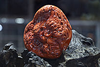 �Ϻ����������