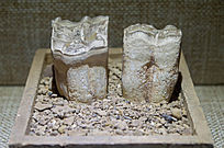 ����������