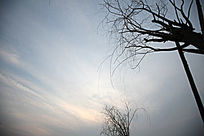 �������֦