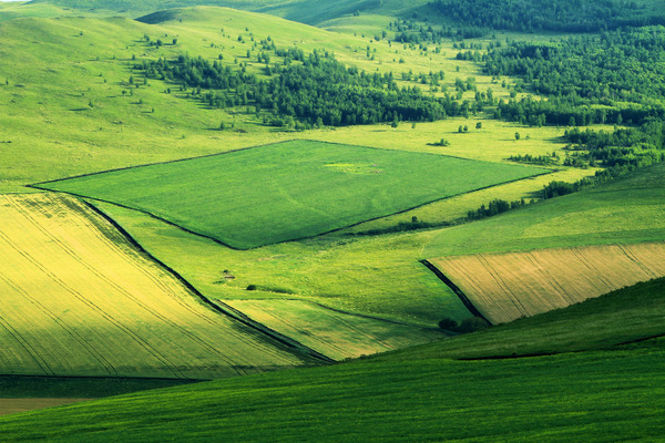 ��Ұ����