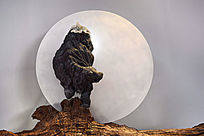 ��������Ȼ