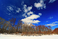 �紺��ѩԭ�����羰