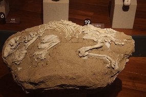 ���������ʯ