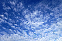 ������Ʒ��