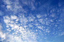 ������Ʒ羰