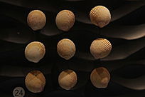 ��������β��