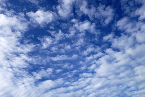 �����İ���