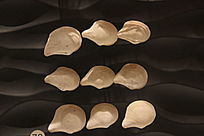 ����Ȧ�ĸ�