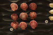 Ů�����ȸ�