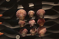 �����ȱ�