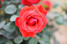 ʢ���ĺ��¼�