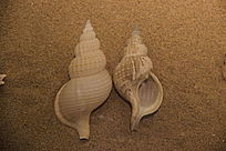 ��Ŀ����