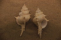 �Ҽ�����