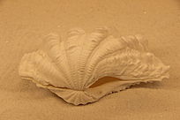 Խ�ϳ�����