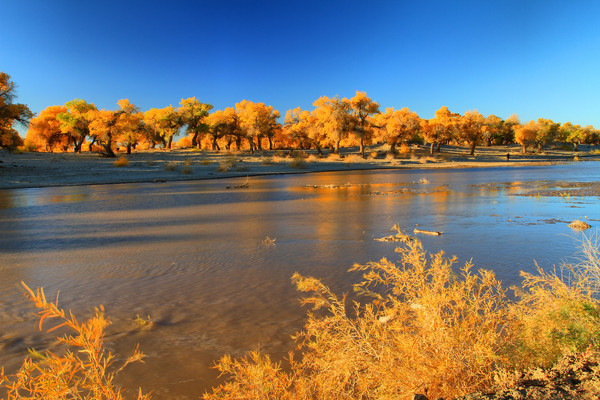 ���Ϻ���