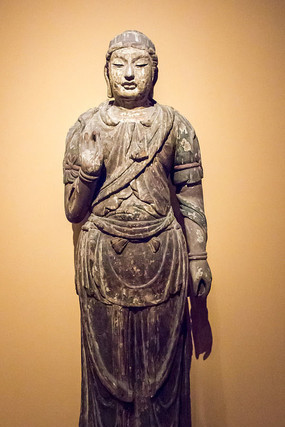 �ʻ�ľ����������