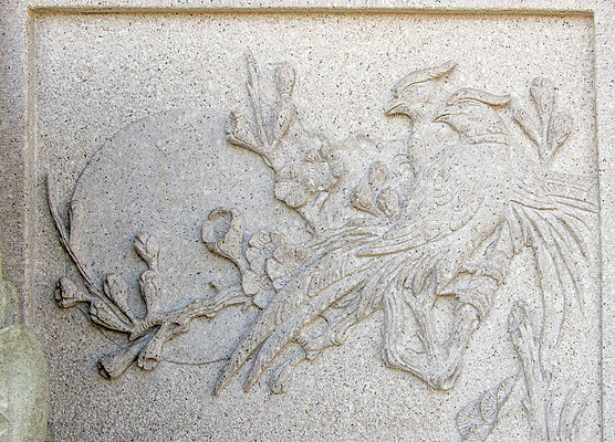 ����˫�񸡵�