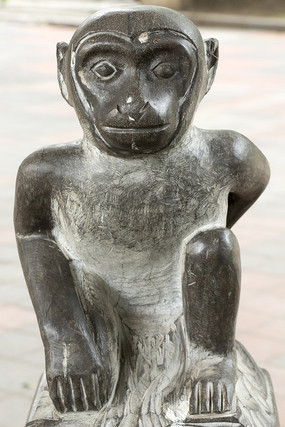 ���ַ������ϵ�ʯ��