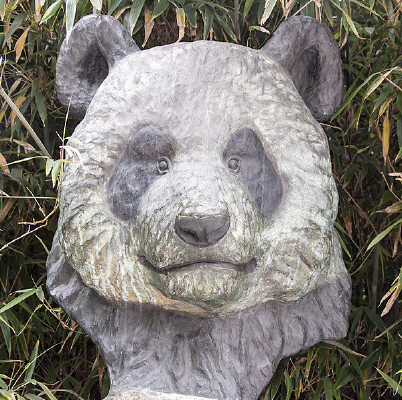 ����èʯ��