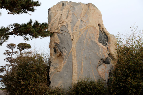 ��԰�ڵĹ���ʯ