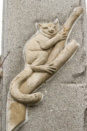 ���Ӹ���