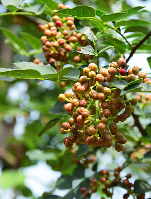 ������д