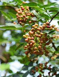 ������д