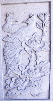 ��ȸ����