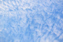 �����ϵı���