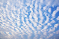 �����ϵ��Ʋ�