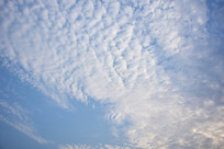 �����е�������