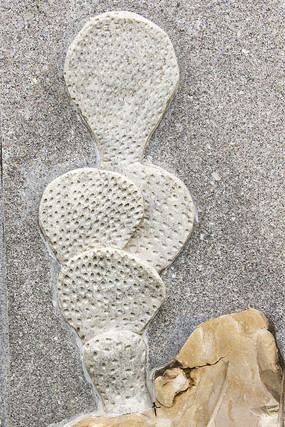 ��ź����