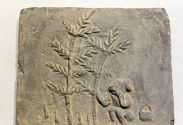 ���ڶ���ש��