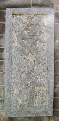 ���ﻨ�㸡��ڻ�