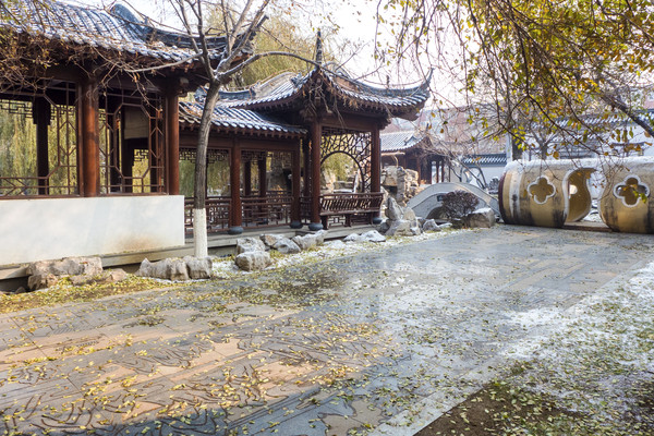 ͥԺ�������Ȳ�ѩ