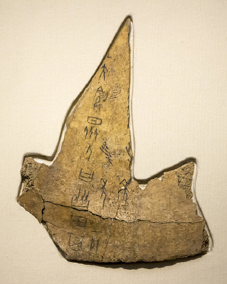 ��������Э��̴�ţ��