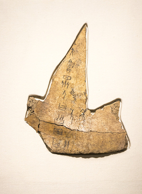 ��������Э��̴�ţ��