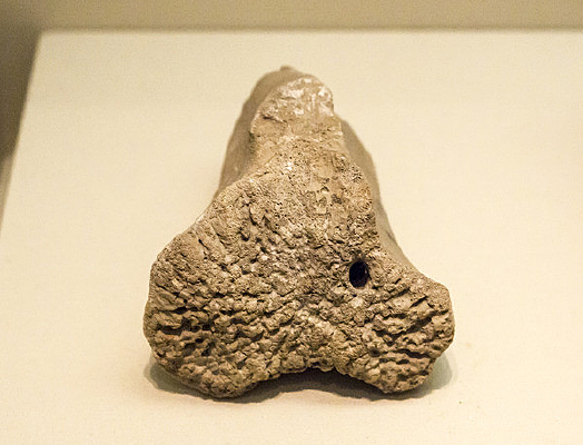 �����Ļ�ţ��