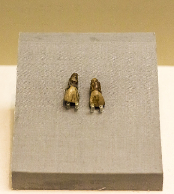 Ԫı�����ų�