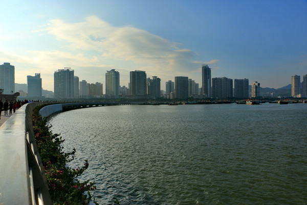 �麣������