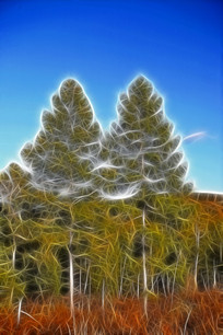 ���Ի������������