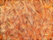 ���Ի�������������