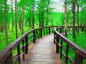 �����ͻ���ɭ��ջ����