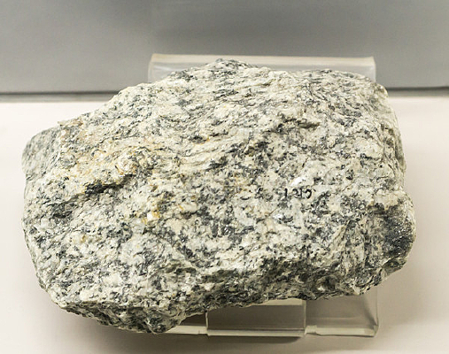 ����Ƭ����