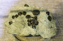 ������ʯ