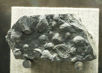 ��ɫ����ʯ��˫����