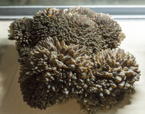 ��ɫ����ʯ����