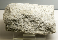 ���ƻ�����