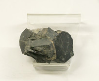 ����ĸ����