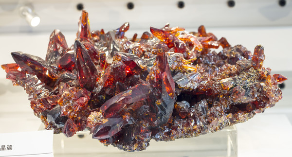 ��п����